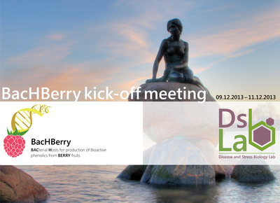 Bachberry kick-off- site.png