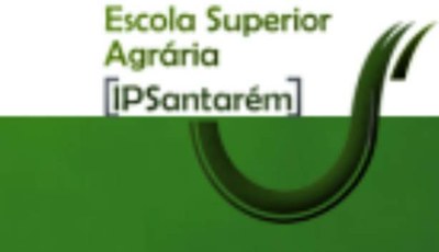 IPS.jpg