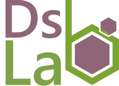 Dsb Lab- Color Logo