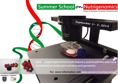 summer school