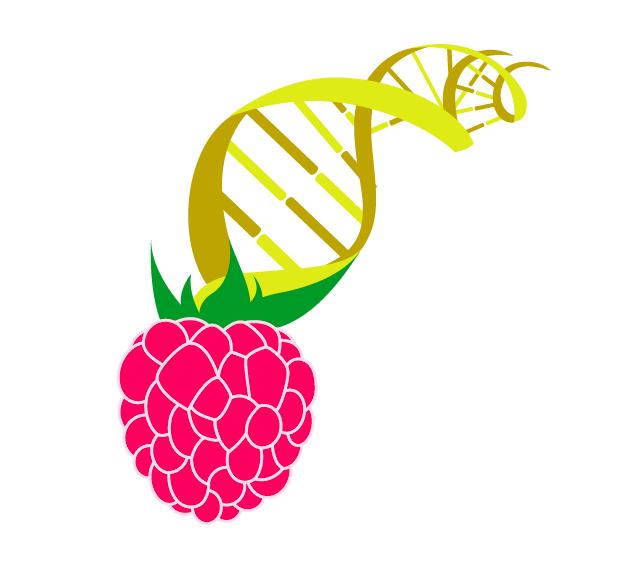 logo berry.png