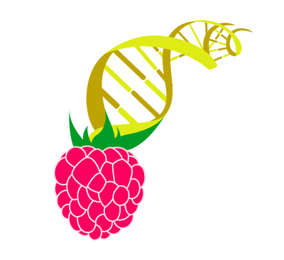 logo berry.png