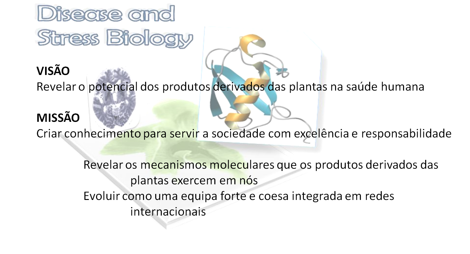 missão e valores.png