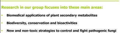 Research focuses areas.jpg