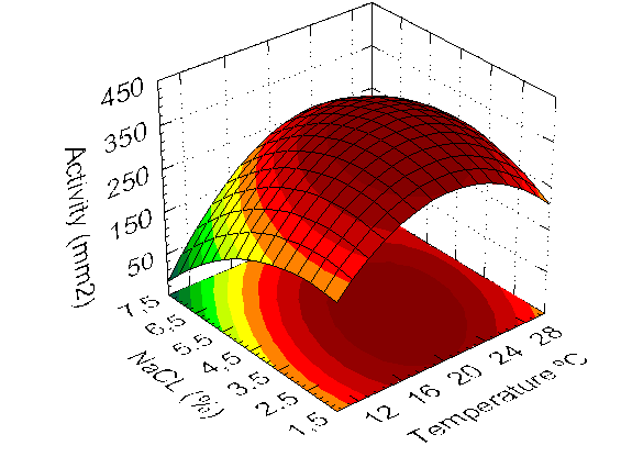 graph2.png