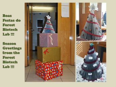 Natal 2015