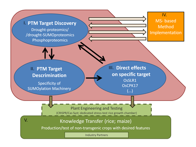 PRPlant research activity scheme FINAL