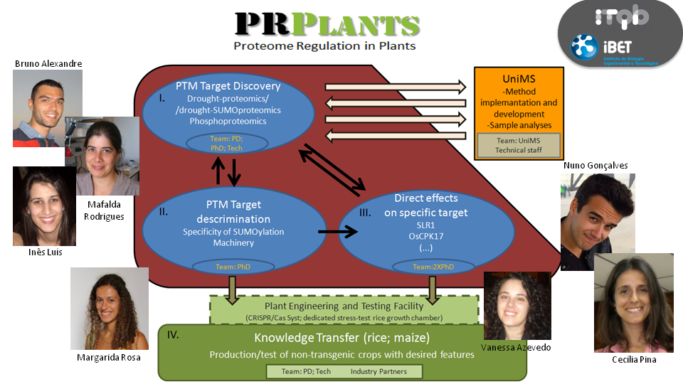 PRPlants scheme with photos