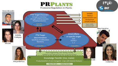 PRPlants scheme with photos