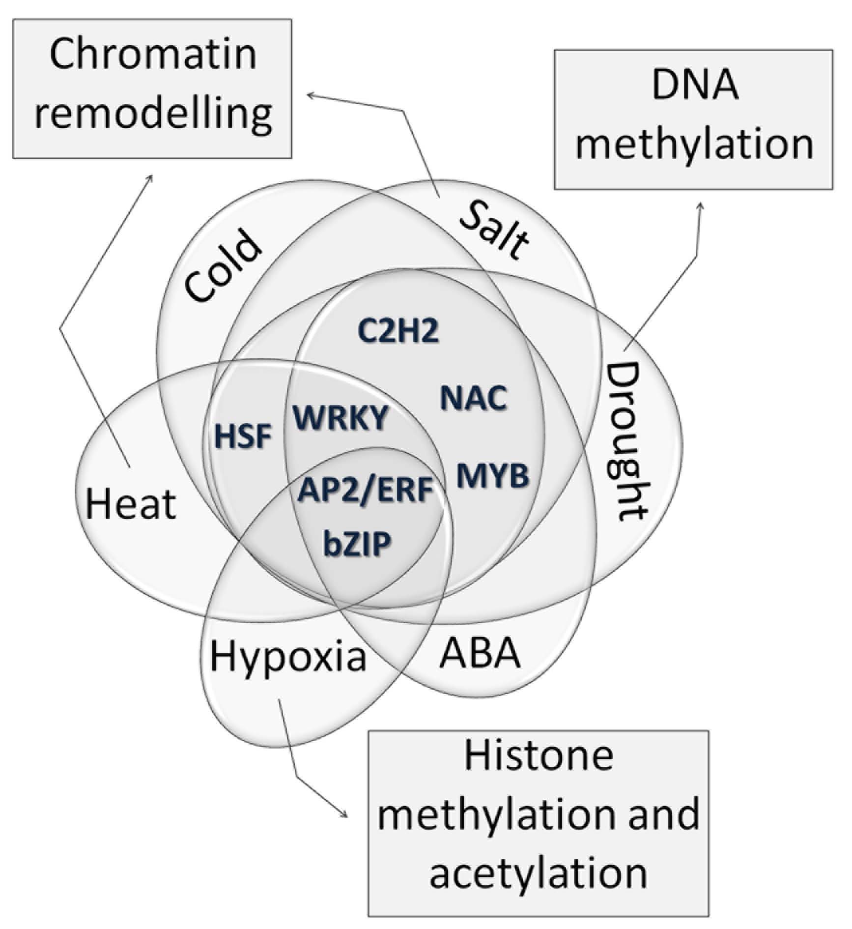 Figure 1_OMICs.jpg