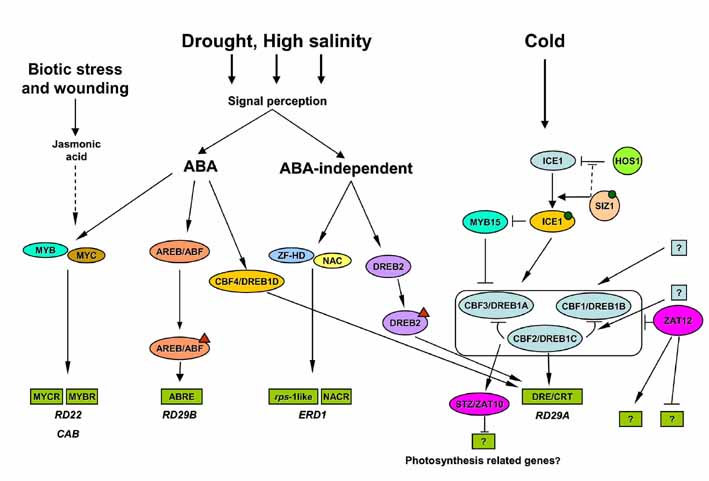 Figure 2_AoB.jpg