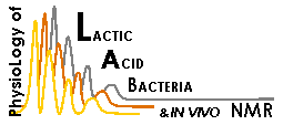 Logo.gif