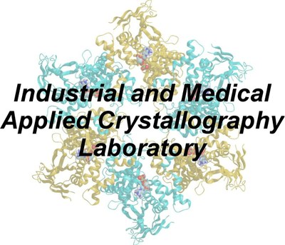 Lab_Pedro.jpg