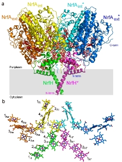 nir1 version b.jpg