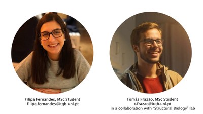 MET Lab members filipa tomas