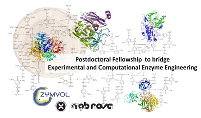 anuncio postdoc