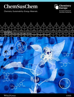 cover Brissos
