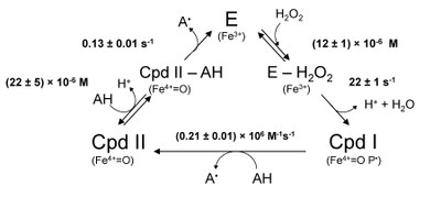 Elucidation