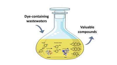 Dyes Conversion