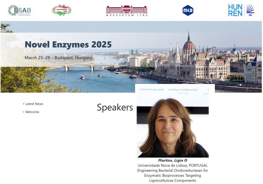 Ligia Speaker
