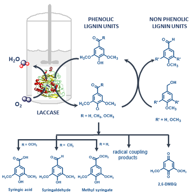 mechanism