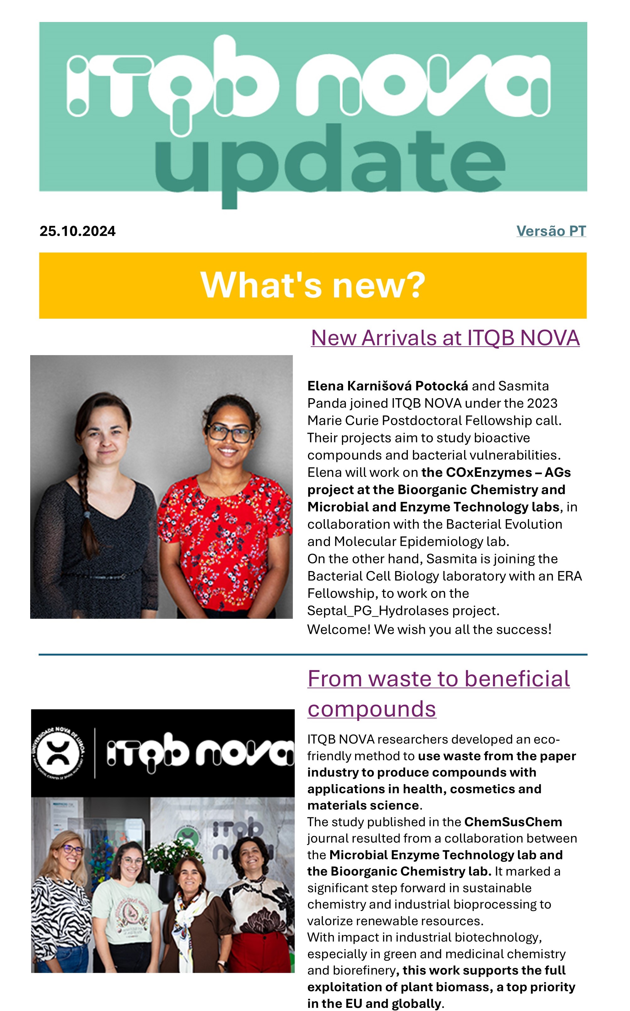 newsletter