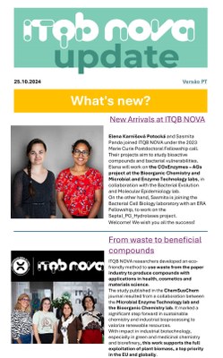 newsletter