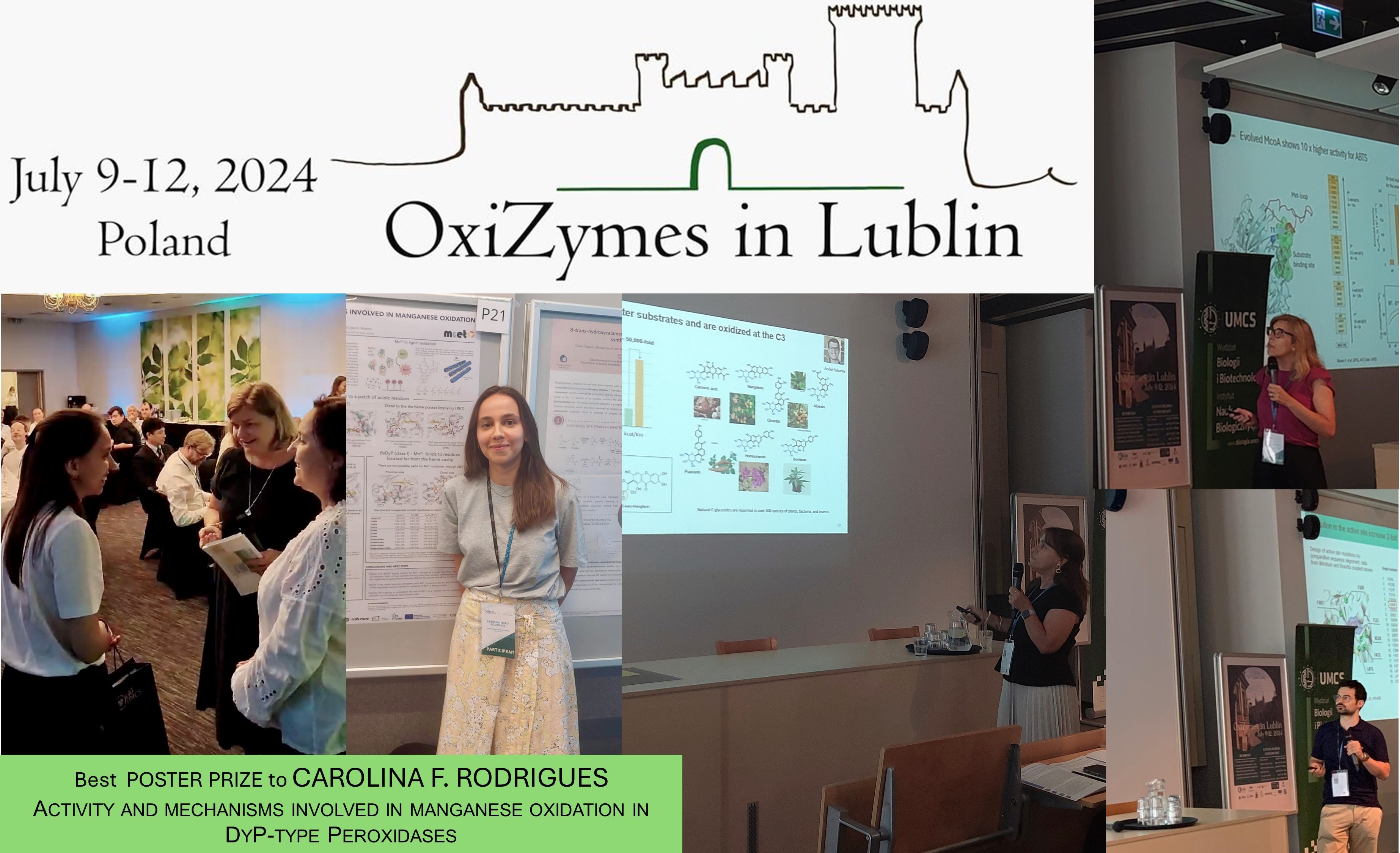 Oxizymes 2024