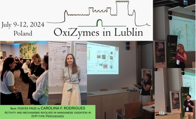 Oxizymes 2024
