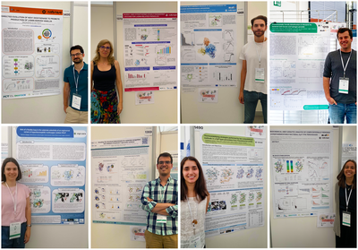 Posters METLAB