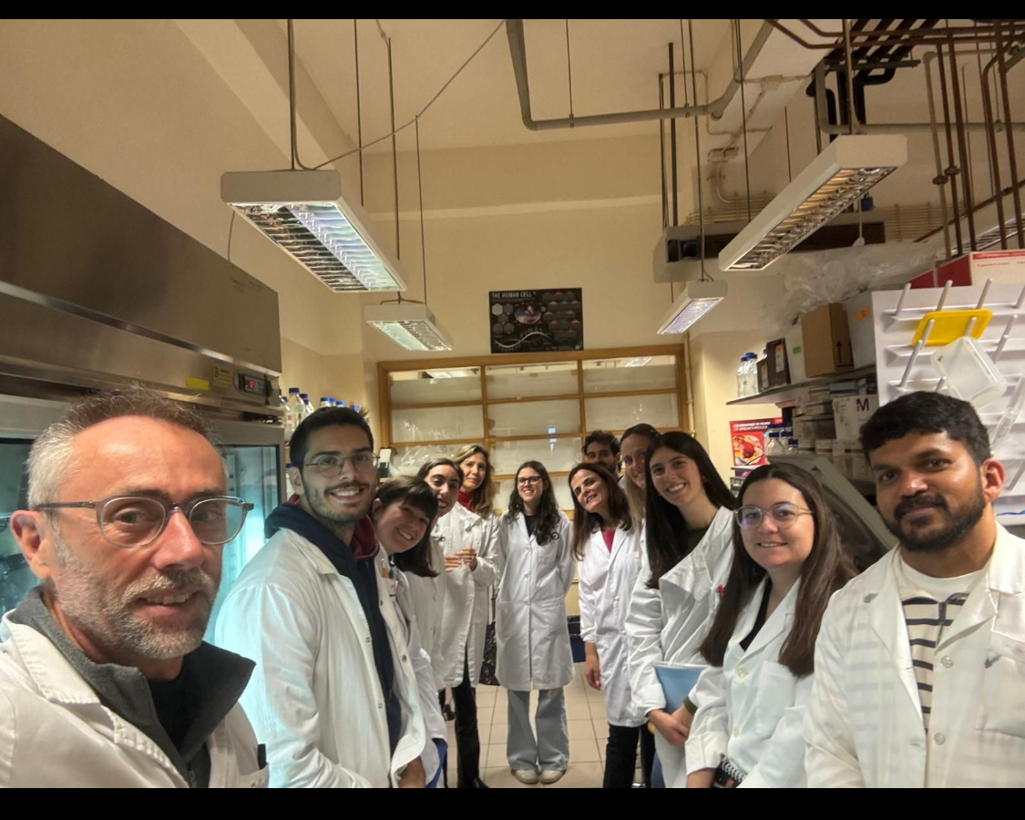 curso Protein purification