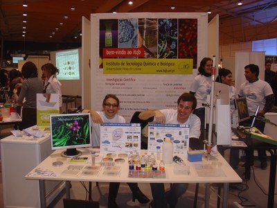 2008