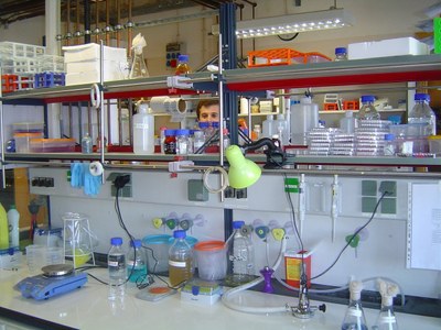 LAB 102.jpg
