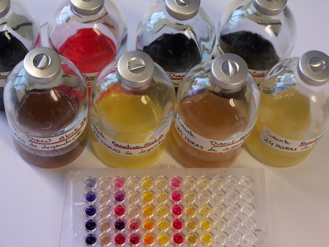 LAB 068.jpg