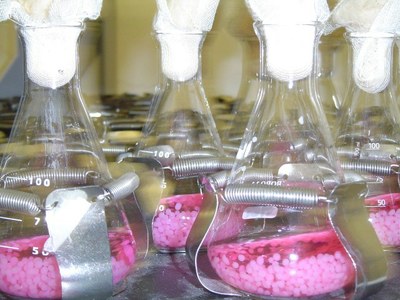 LAB 087.jpg