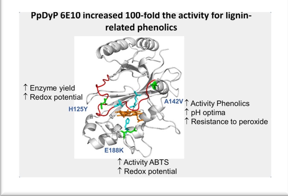 Slide3