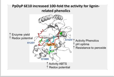 Slide3