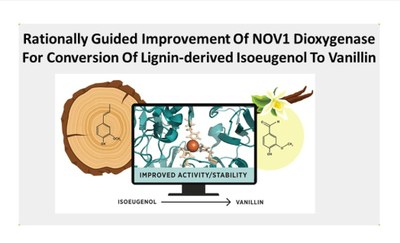 Slide5