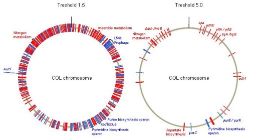 Gen_Bio_Evo_mec_Fig5.jpg