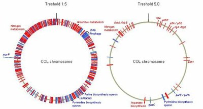 Gen_Bio_Evo_mec_Fig5.jpg
