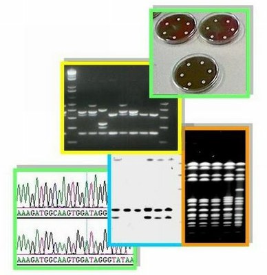 Research_Molec_Epidem_Intro.jpg