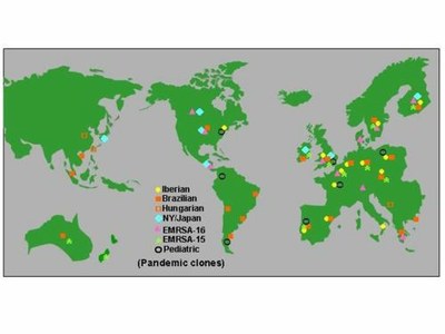Research_Molec_Epidemio_Staphylococci_Fig1A.jpg
