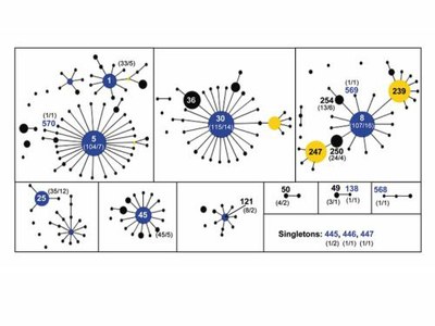 Research_Molec_Epidemio_Staphylococci_Fig2B.jpg