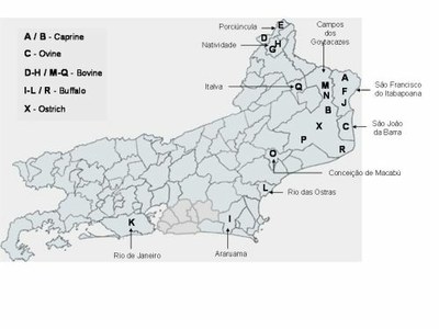Research_Molec_Epidemio_Staphylococci_Fig4B.jpg