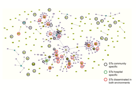 Molec_Epid_Staph_Fig5