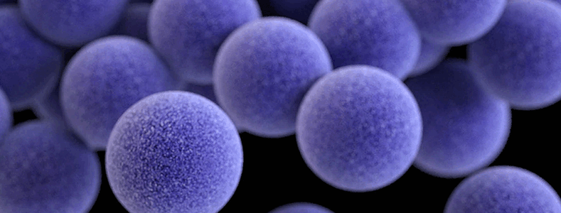 Molecular Mechanisms of Pathogen Resistance 0000 86091D67 0EF0 4451 9A45 EB913E8A0101