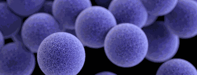 Molecular Mechanisms of Pathogen Resistance 0000 86091D67 0EF0 4451 9A45 EB913E8A0101