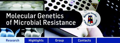research banner2.jpg