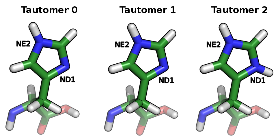 Hitidine tautomers