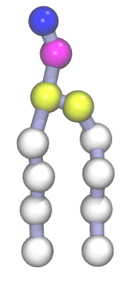 A Martini DPPC phospholipid